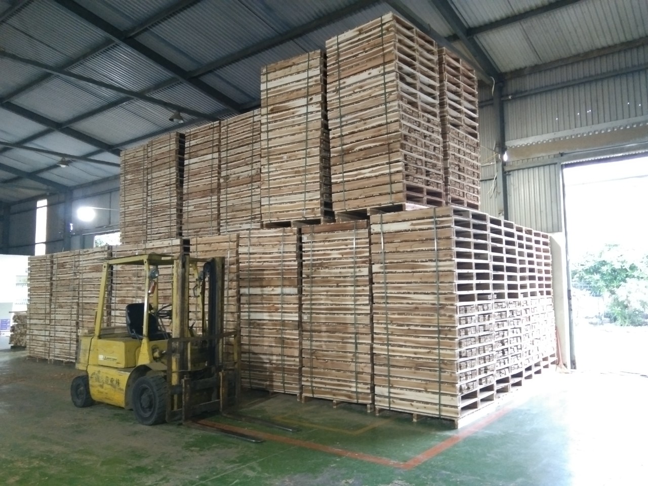 Pallet gỗ keo sấy