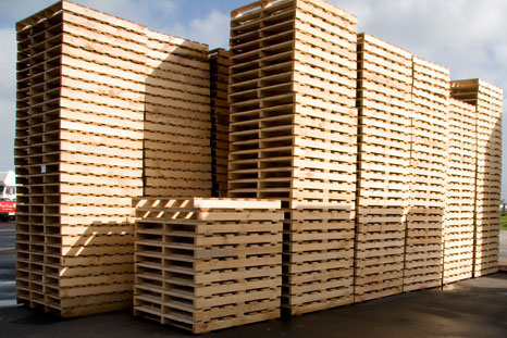 Pallet gỗ tự nhiên