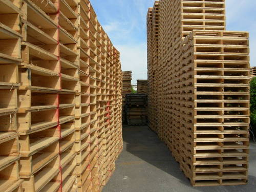 Pallet gỗ tự nhiên